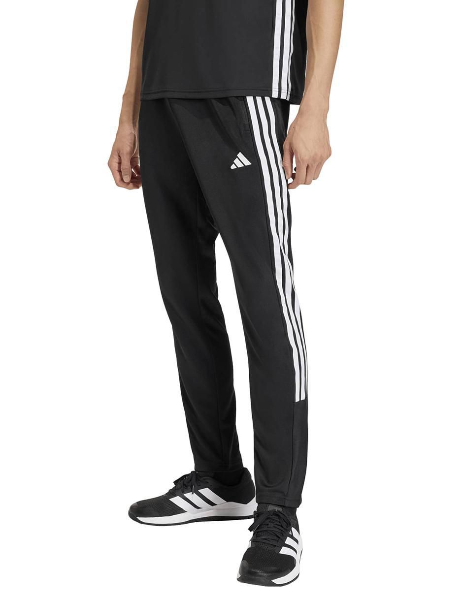 Pants regular con elástico para hombre Pants regular con elástico para hombre