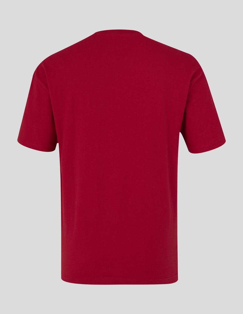 Playera formula 1 cuello redondo para hombre 3