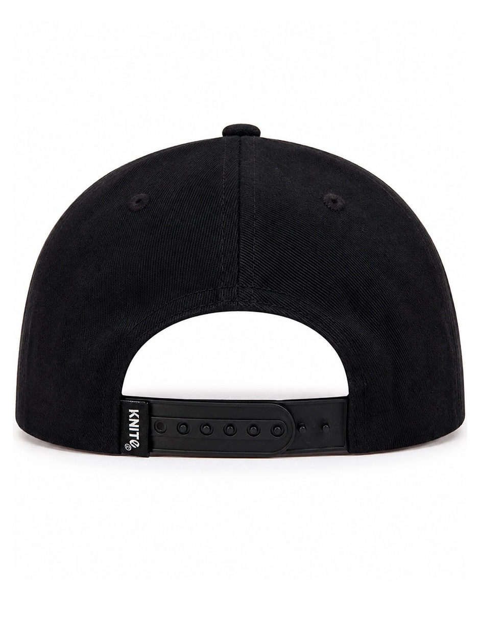 Gorra visera curva snapback para skate para hombre