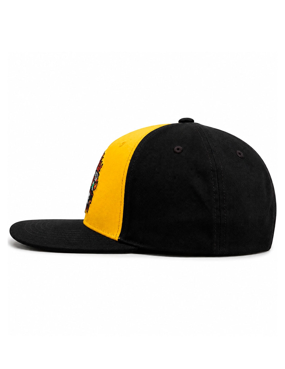 Gorra visera curva snapback para skate para hombre 9
