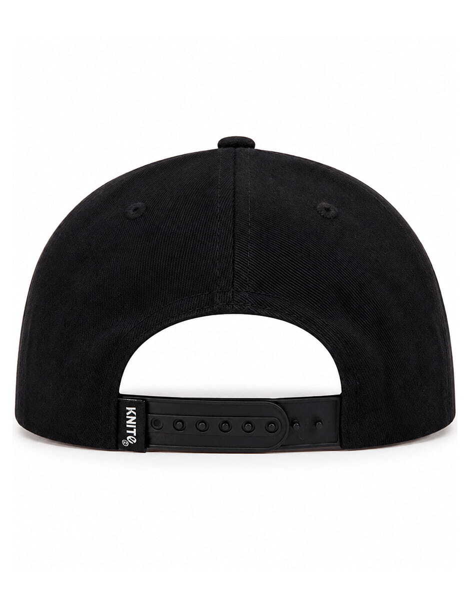Gorra visera curva snapback para skate para hombre 2