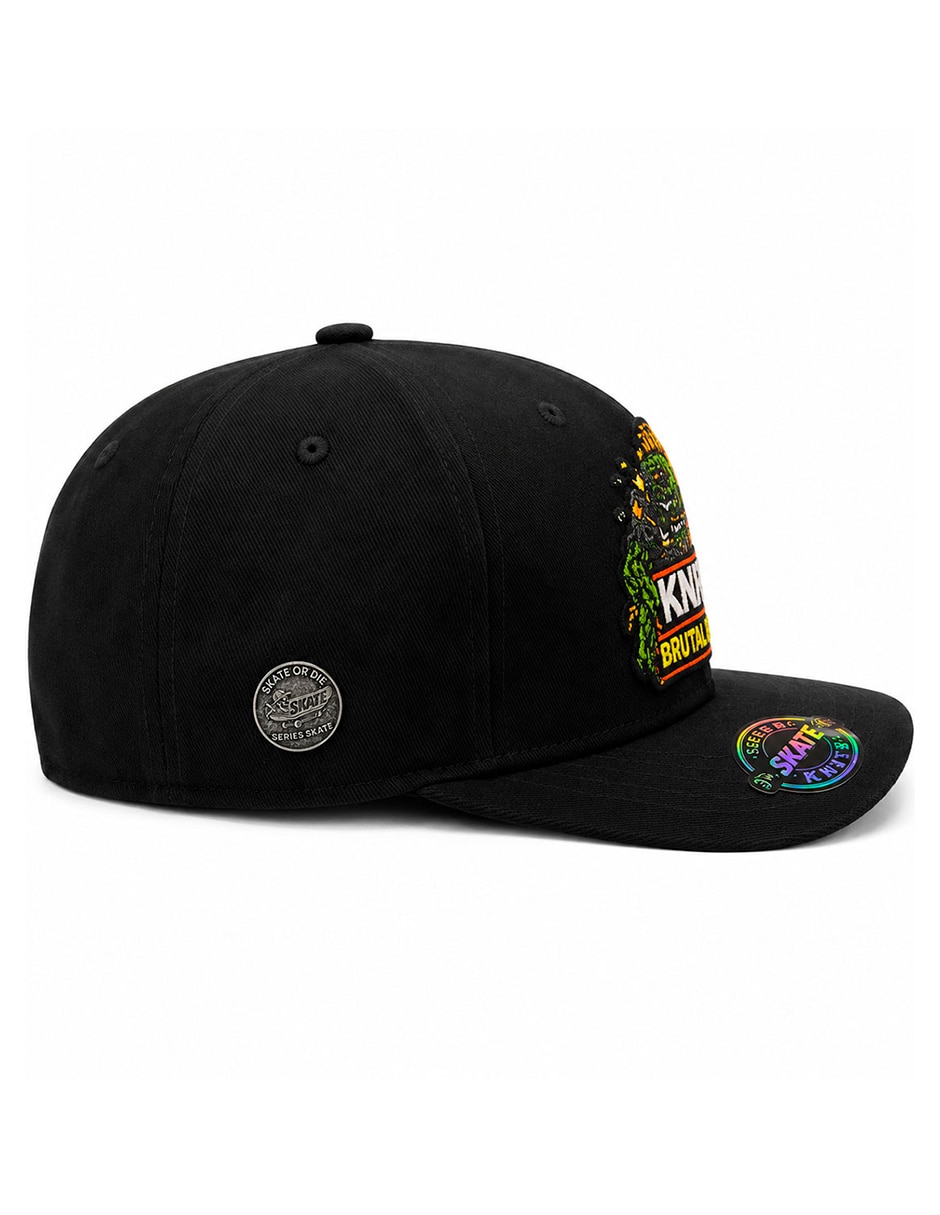 Gorra visera curva snapback para skate para hombre