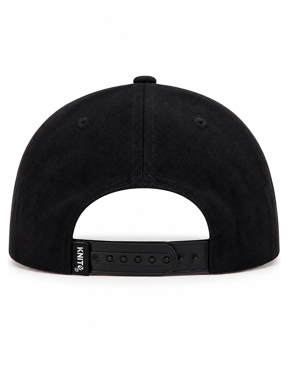 Gorra visera curva snapback para skate para hombre