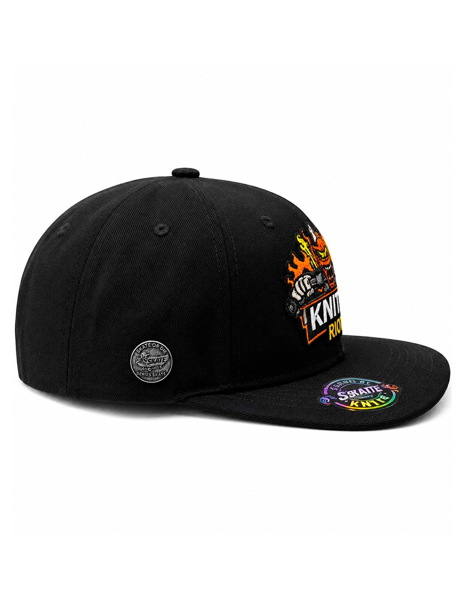 Gorra visera curva snapback para skate para hombre
