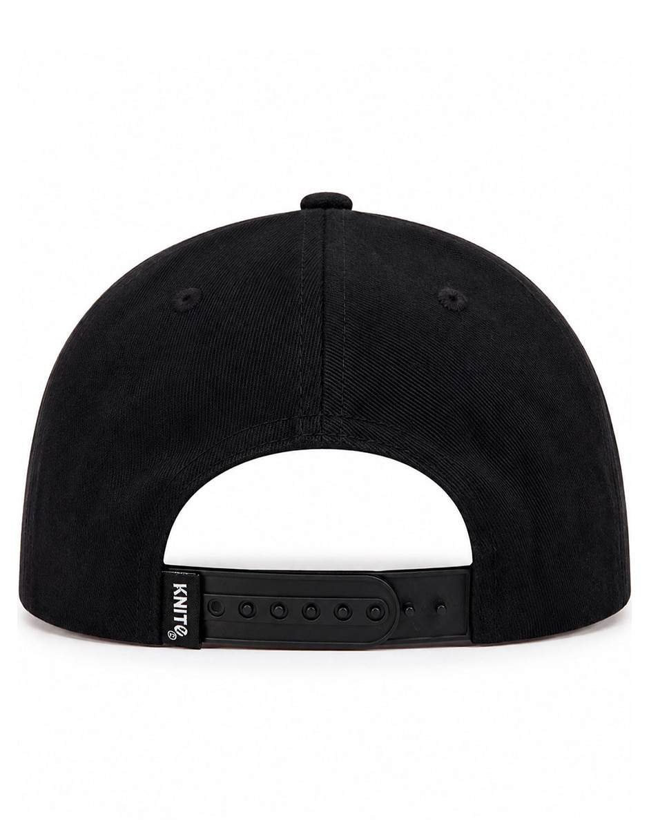 Gorra visera curva snapback para skate para hombre