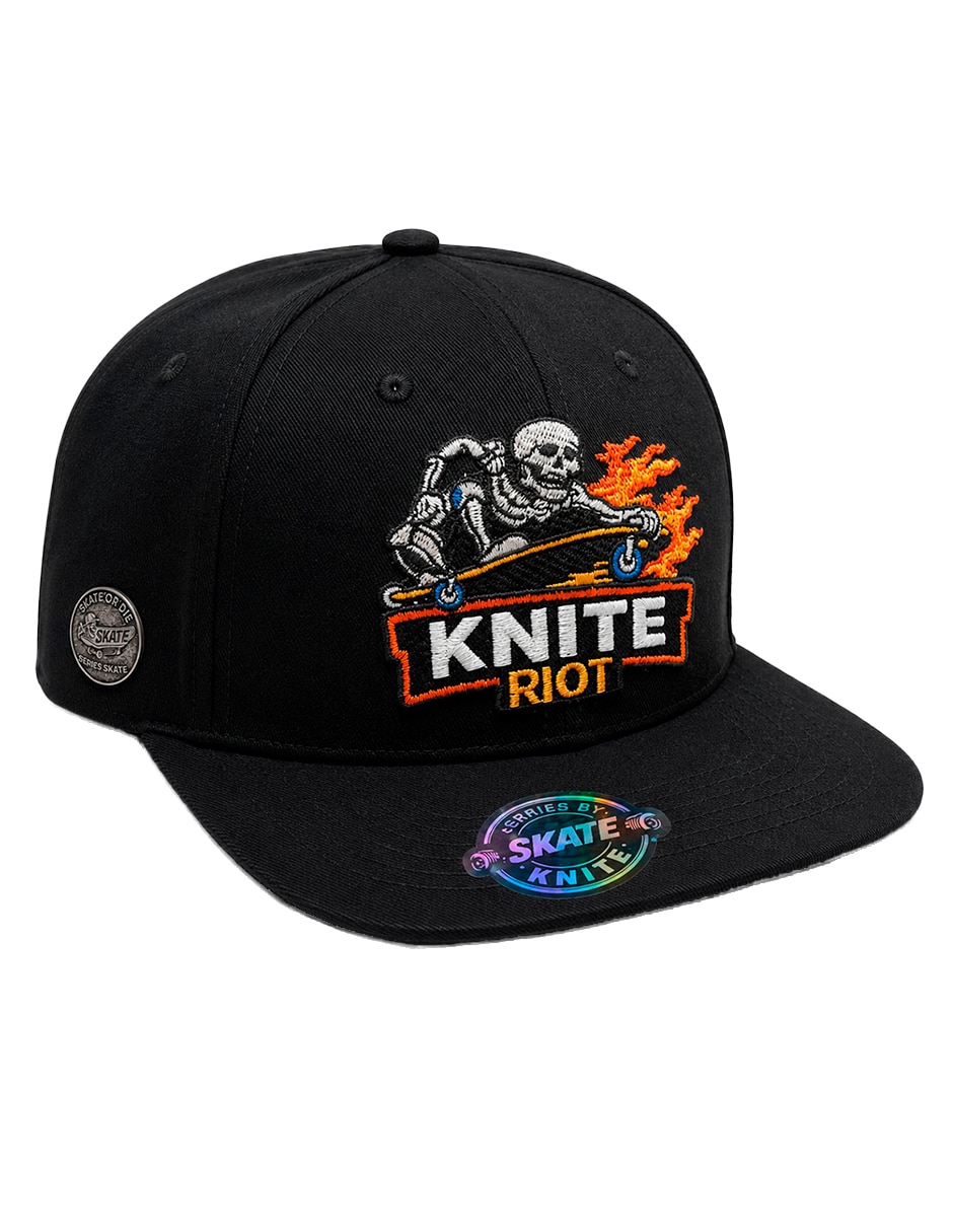 Gorra visera curva snapback para skate para hombre