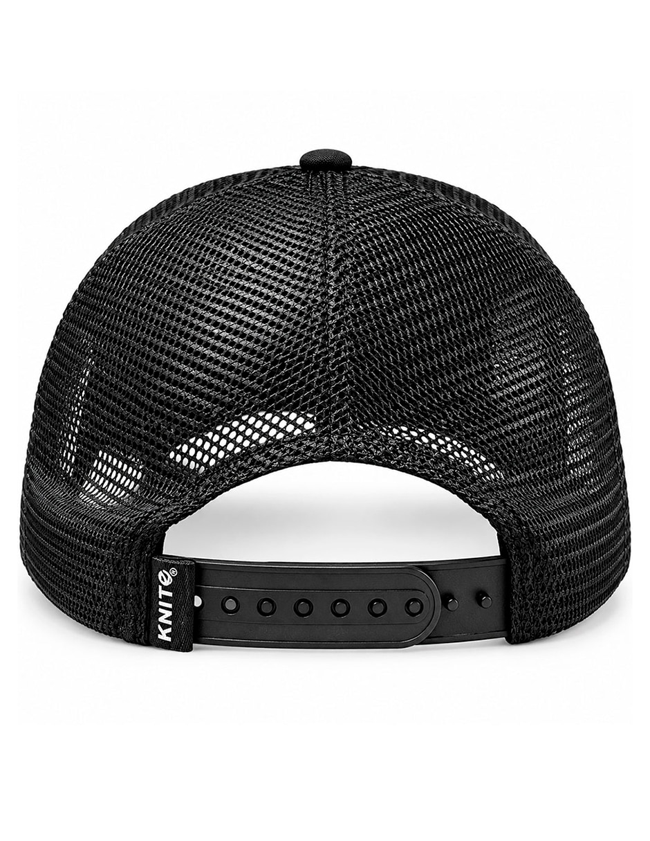 Gorra visera curva snapback para skate para hombre 2