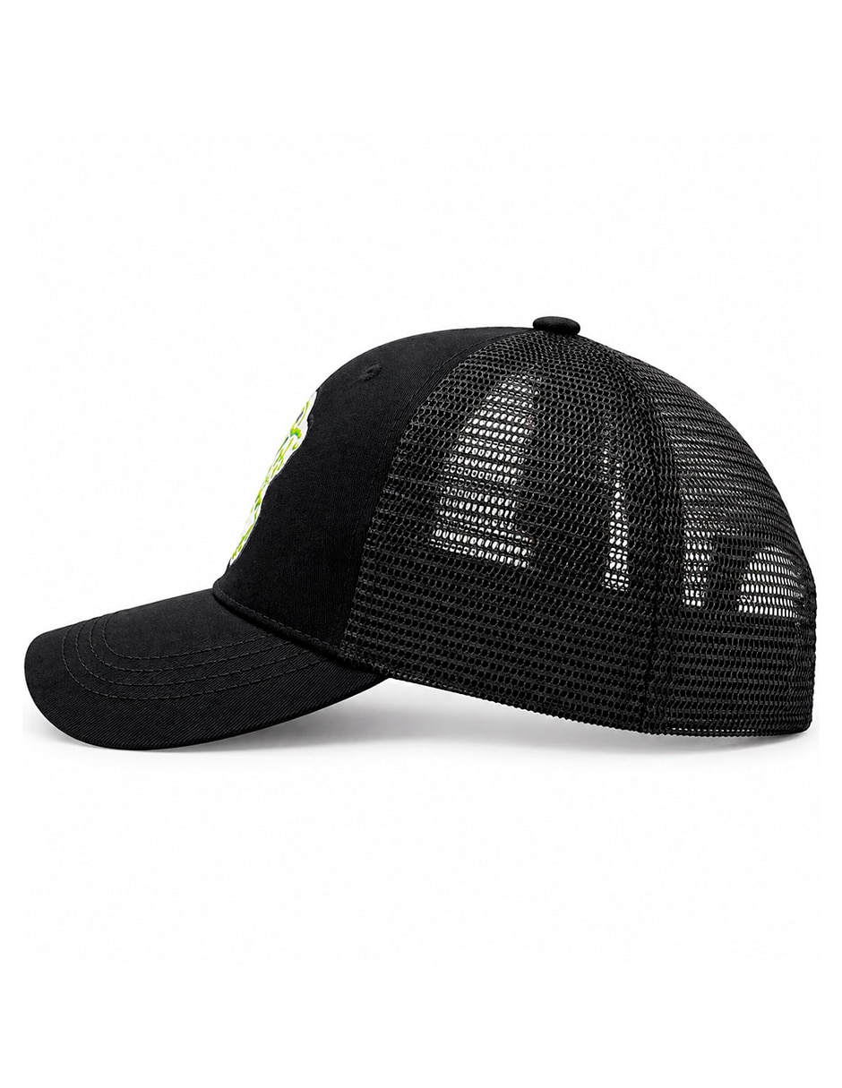 Gorra visera curva snapback para skate para hombre 7